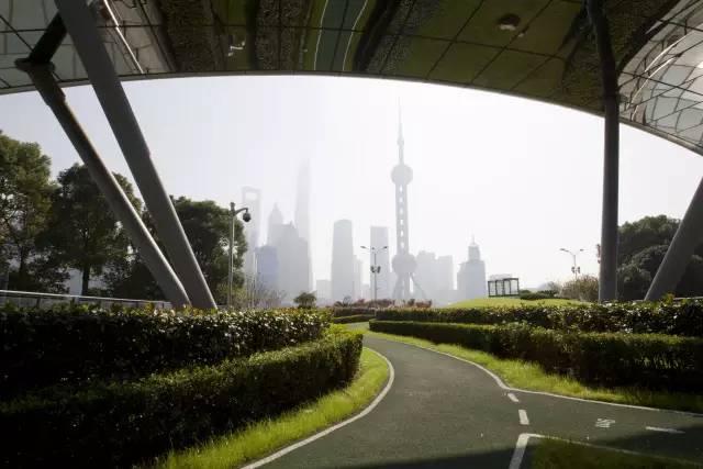 「居行」浦东新建改建6条市民健身步道、4个市民球场，有没有你家附近的？