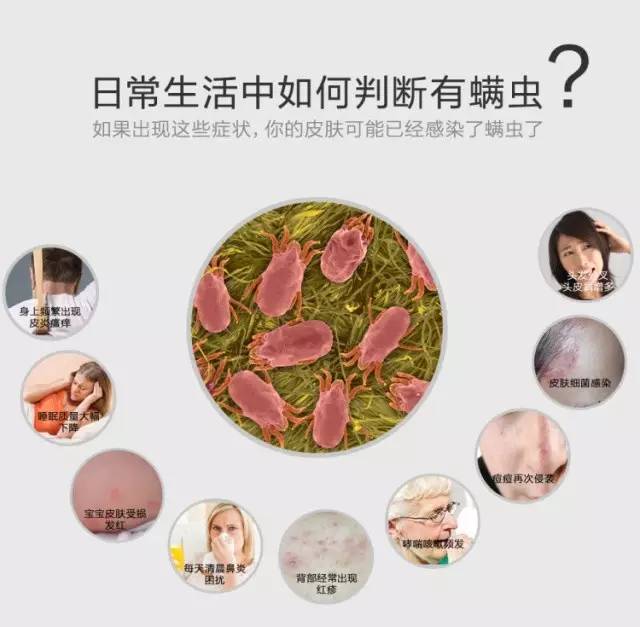 原来每天都和她们睡在一起，你知道吗？