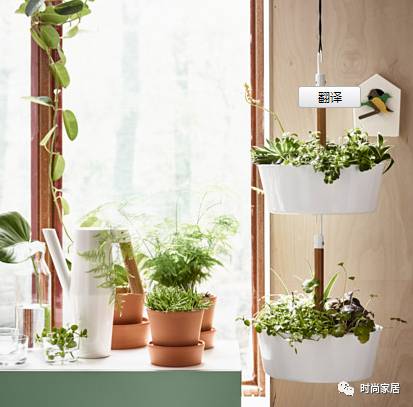 用植物点缀空间，请先抛弃老土花器