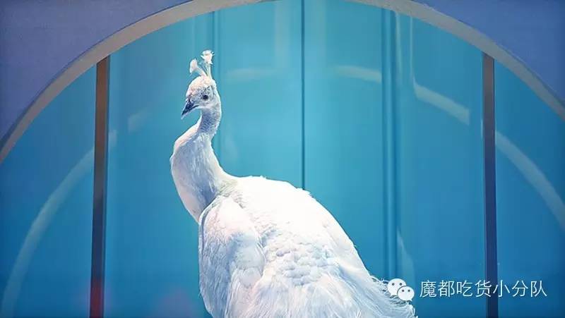 上海十大必吃美食街区排名,上海美食最多的商场推荐