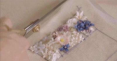 missdior橘调,missdior为啥受欢迎