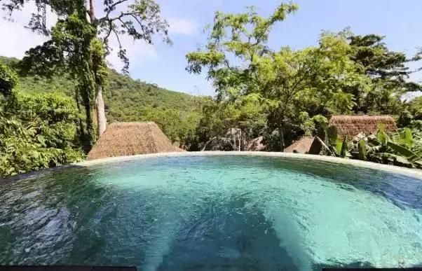 楦熷发搴﹀亣閰掑簵浣撻獙,闅愯棌鍦ㄥ師濮嬫.鏋楃殑娴峰崡楦熷发閰掑簵