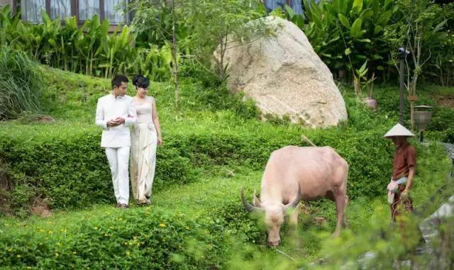 楦熷发搴﹀亣閰掑簵浣撻獙,闅愯棌鍦ㄥ師濮嬫.鏋楃殑娴峰崡楦熷发閰掑簵
