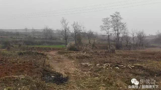 钟灵秀图片,钟灵秀一字马