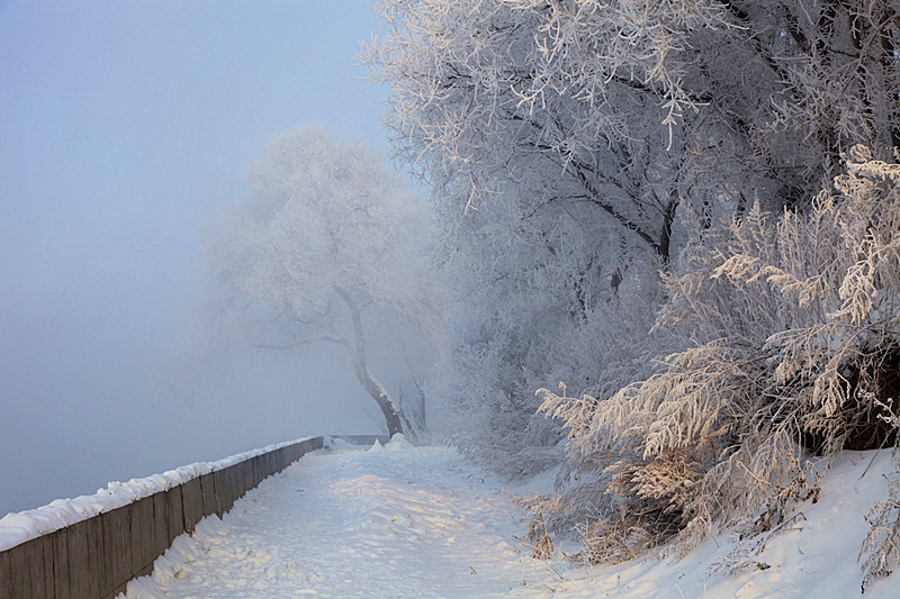 吉林雾凇岛的好看的雾凇倒影图片,吉林雾凇岛和雪谷雾凇岭