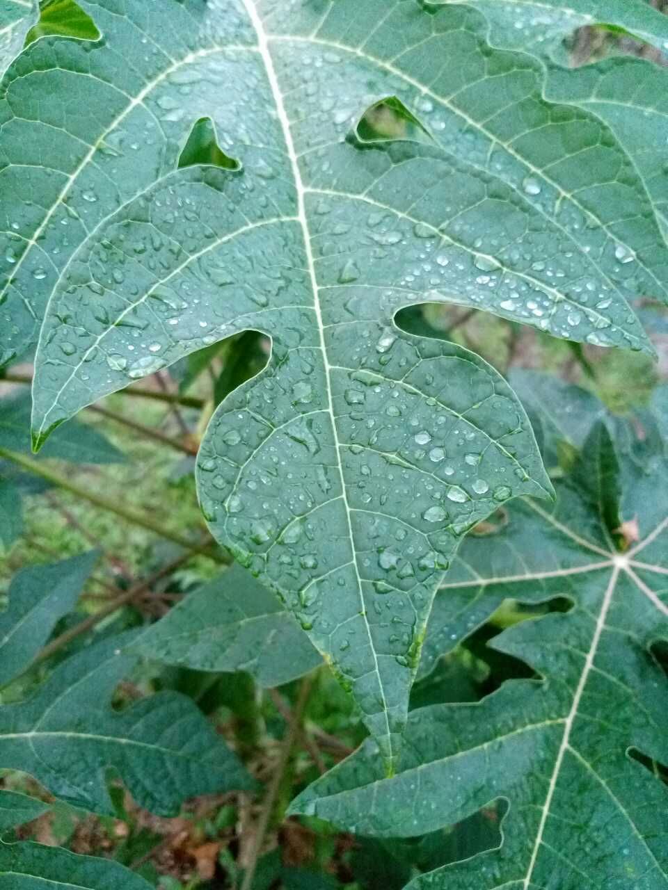 圣诞前夜，我在台北