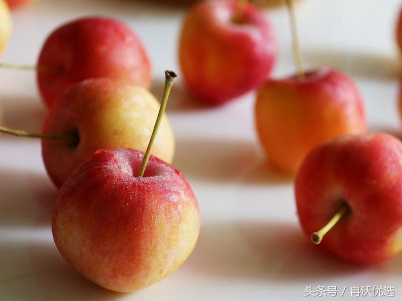 乐都沙果树苗联系方式,乐都的沙果比鸡蛋大