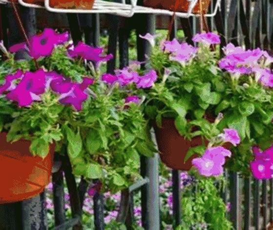 深圳年货地,深圳年货大全