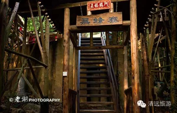 惊！艳！清远这片森林惊现空中吊屋！来过你再也不想回家