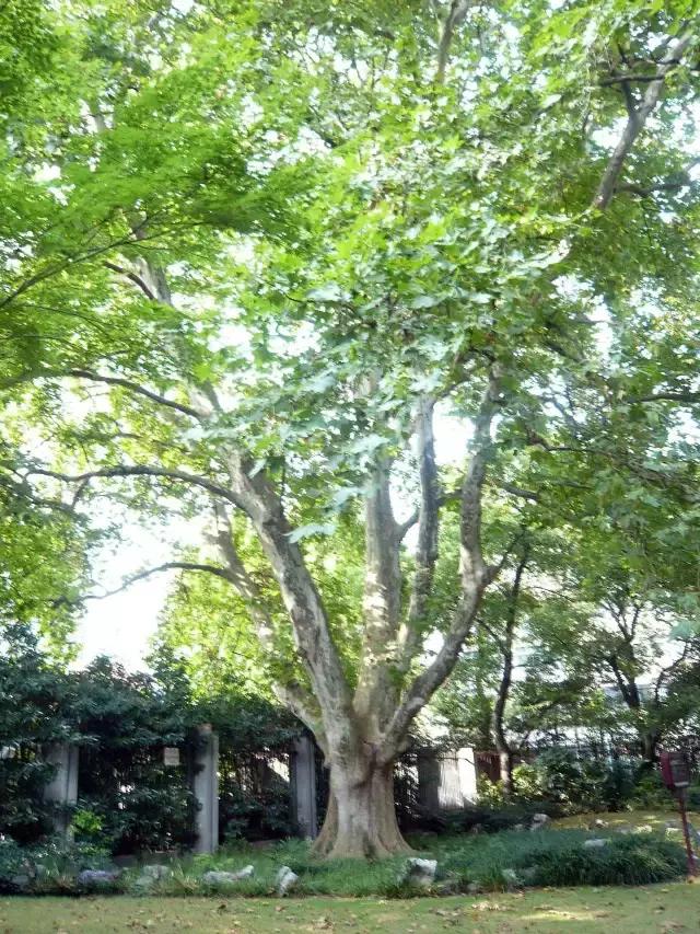 中山公园前生,景山公园的玄机