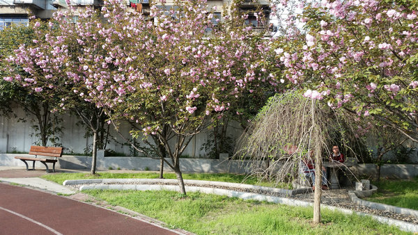 武汉汉阳区中学排名一览表,武汉汉阳区的初中学校升学率