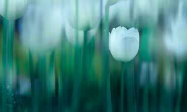 看完这些摄影作品点评，你的摄影技能会有大幅提升