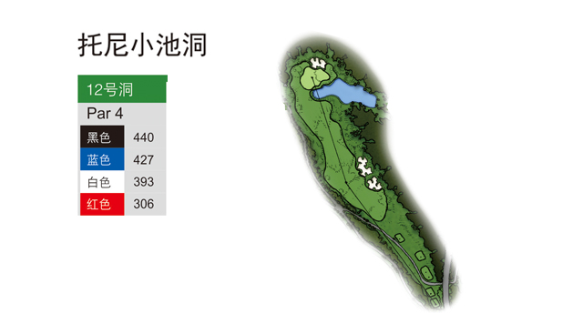 2023佛山青少年锦标赛,广东佛山足球青少年比赛