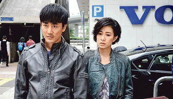 使徒行者2谍战行动,港剧推荐使徒行者