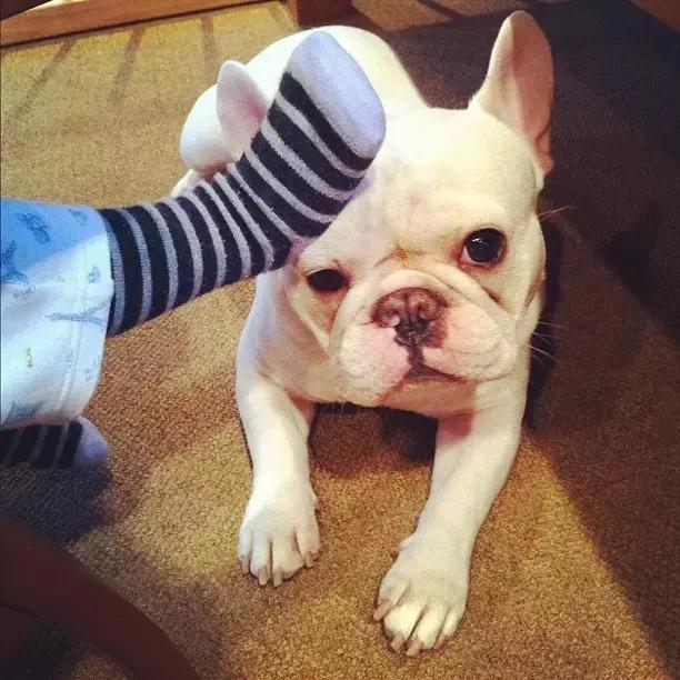 有个喜欢你的女生,有个喜欢的人真好