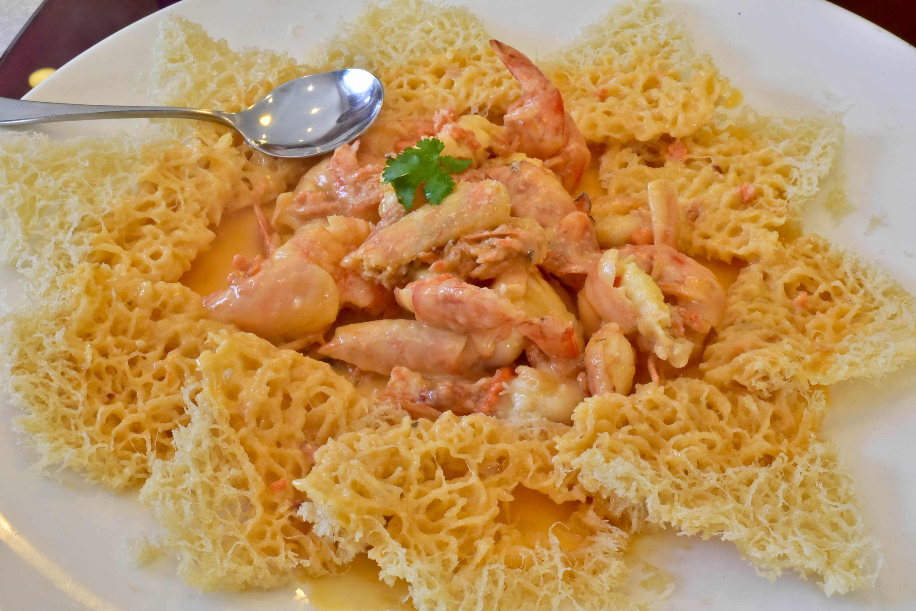 兔子游云南,兔子游老君山视频