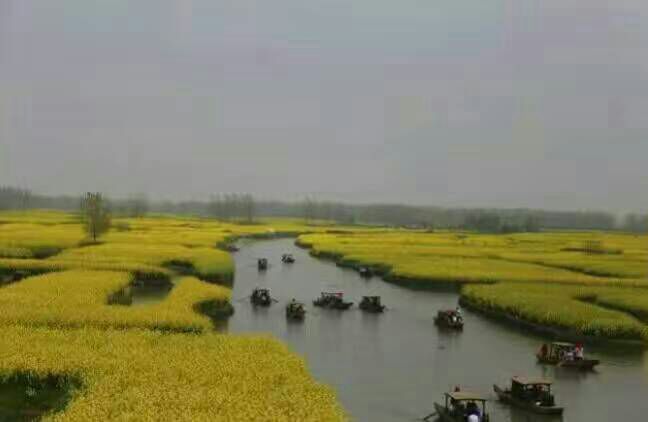 看完这些摄影作品点评，你的摄影技能会有大幅提升