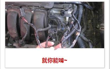 老鼠访谈录：你凭什么往发动机仓存花生？