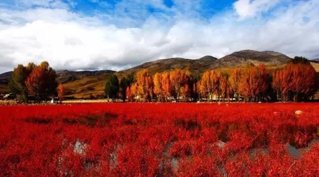 成都到云南春节自驾攻略,春节前自驾去成都过年