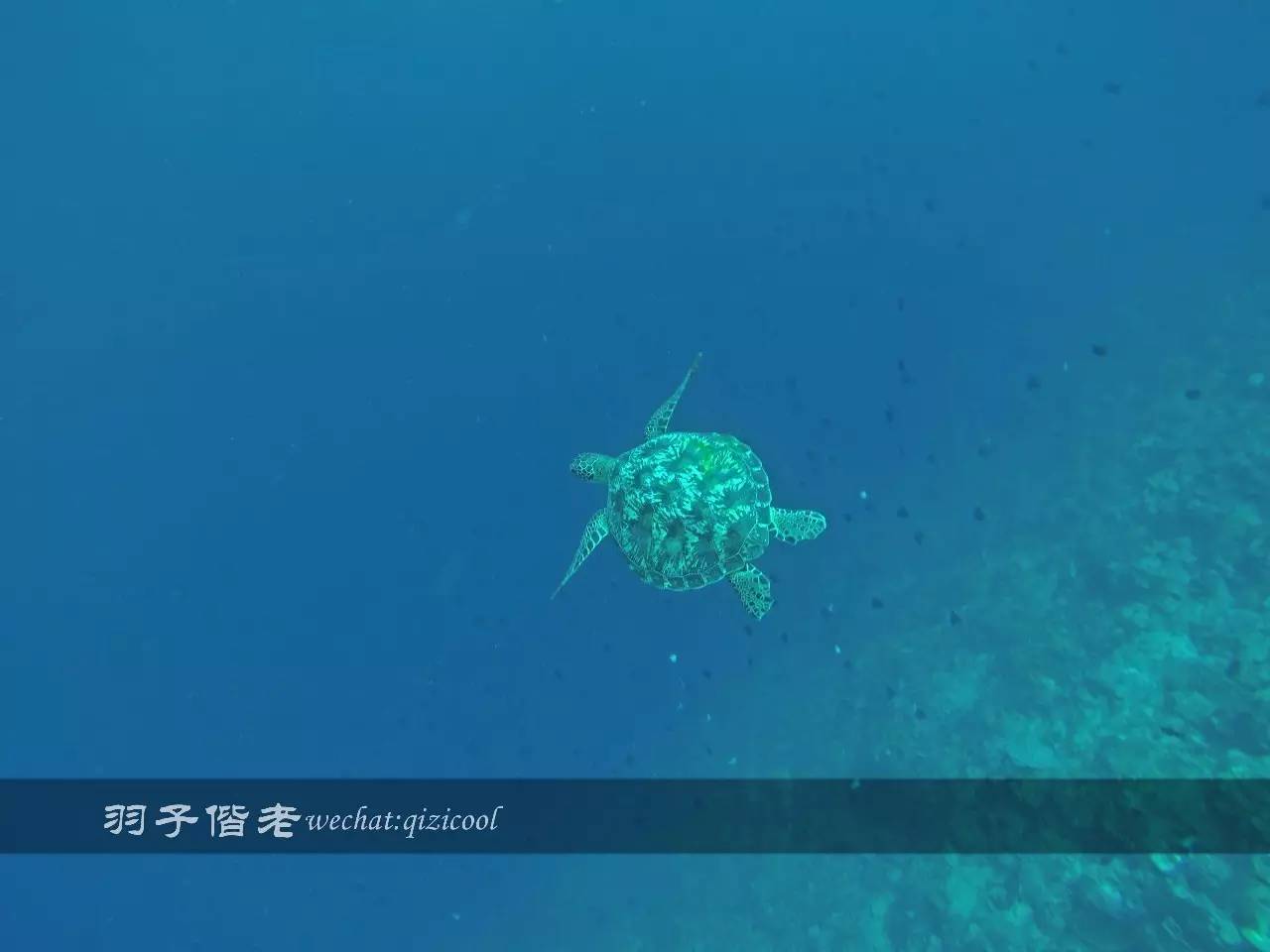 美娜多海岛一日游,印尼美娜多跟团游