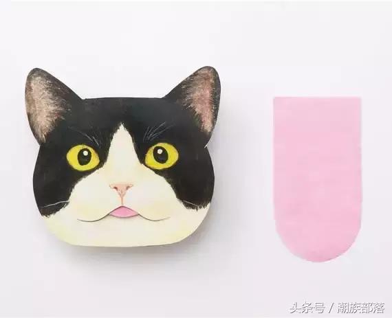 猫控保健,猫控送什么礼物