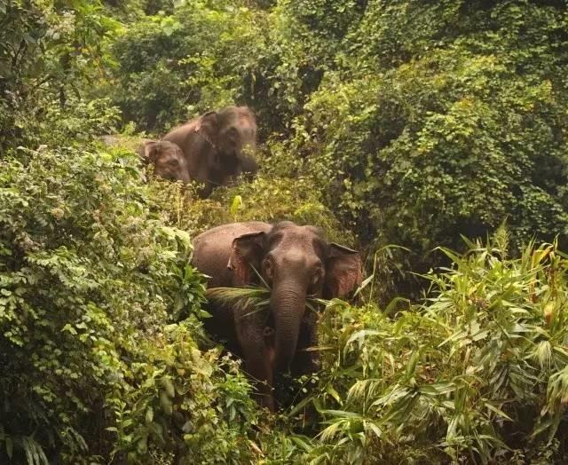 干货分享必读,干货探索与分享