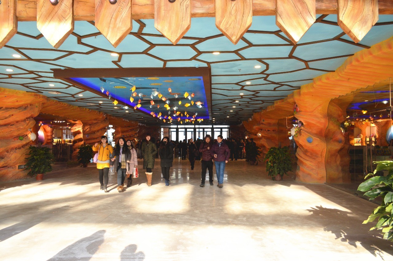 过山车海盗船哪里有,过山车海盗船适合去哪里玩