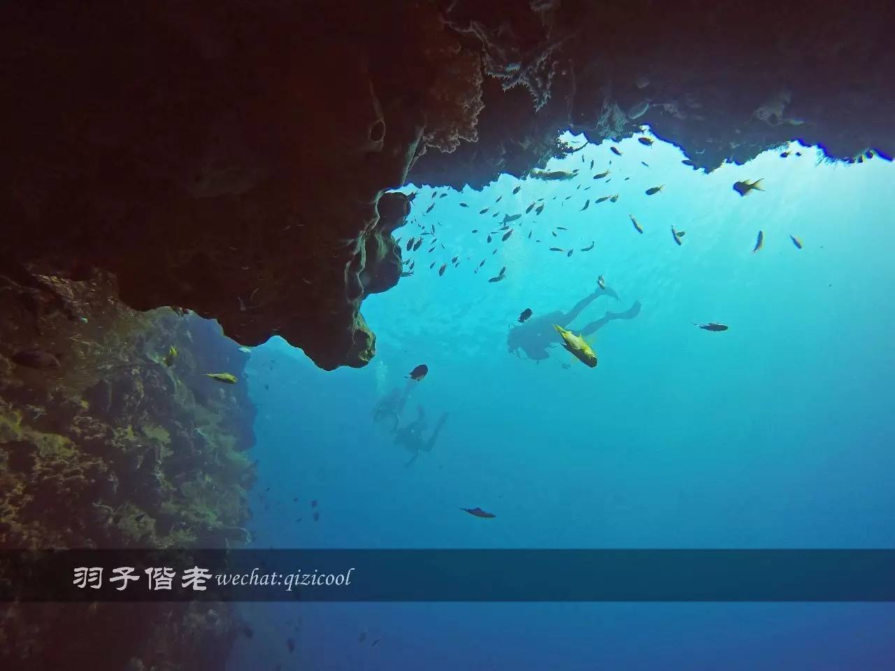 印尼美娜多旅游潜水攻略,印尼美娜多潜水圣地