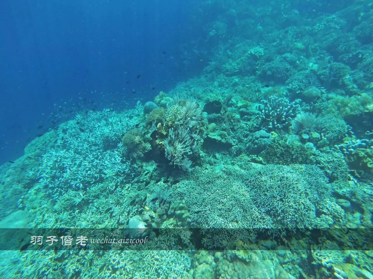 美娜多海岛一日游,印尼美娜多跟团游