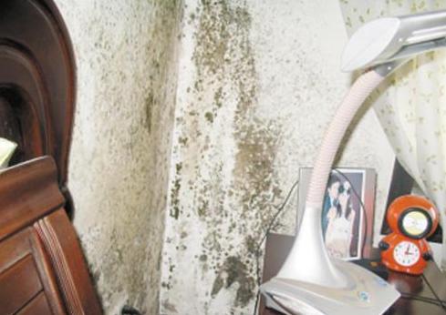 墙壁变黑发霉处理办法,白色墙壁发霉脱落了怎么办