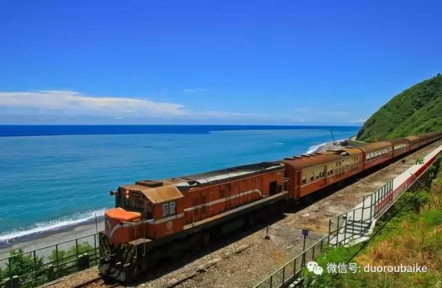 台湾寻肉之旅：小玲带你逛春节的台北花市！