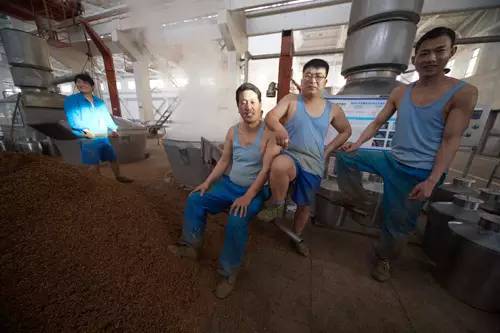 洋河股份上涨10.00%,洋河股份最近为何大涨