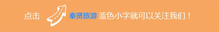 奉贤最富的镇排行榜,奉贤第一名