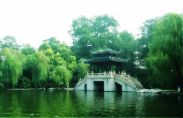 从不羡慕北上广的生活,上海人眼中的湖州