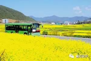 安宁未来交通建设,未来安宁太平片区规划