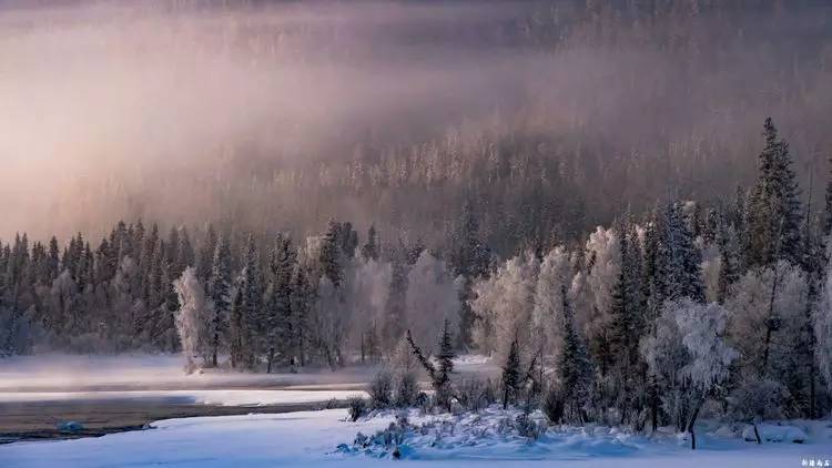 最新喀纳斯禾木视频,新疆喀纳斯禾木冬天视频
