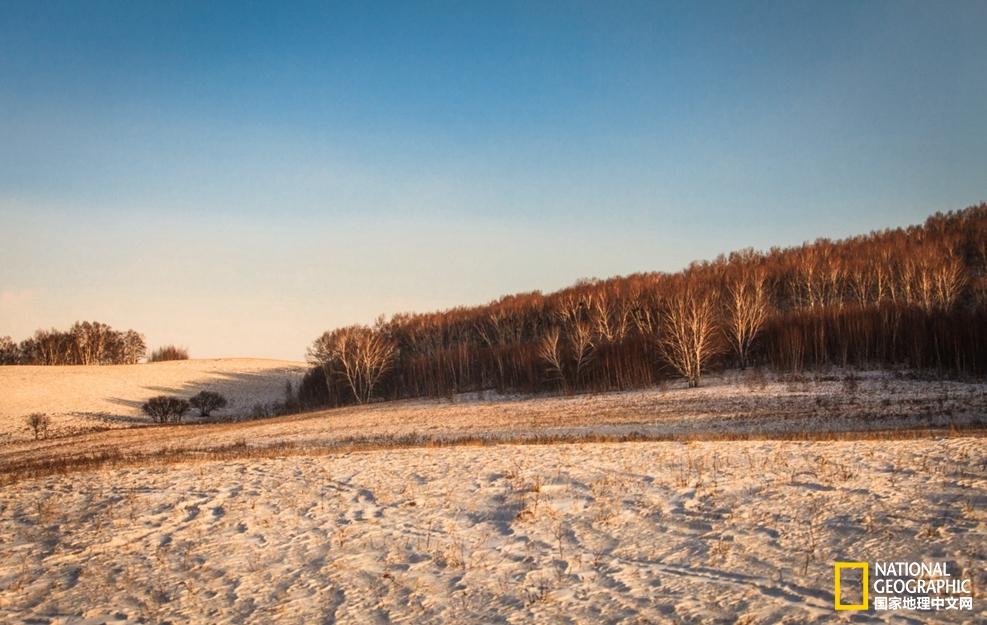 趁冬天还没有来临之前去一趟,一起到坝上去看雪