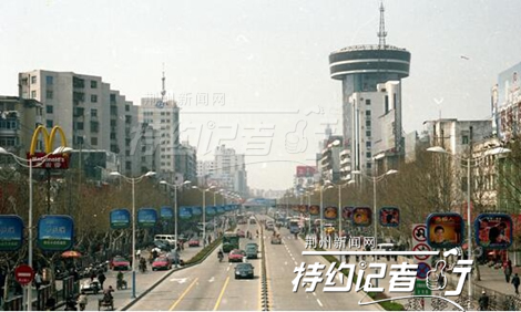 特约记者行郁金香完整版,特约记者行最新视频