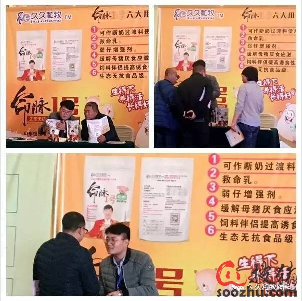 初闻沈念,初闻林夕