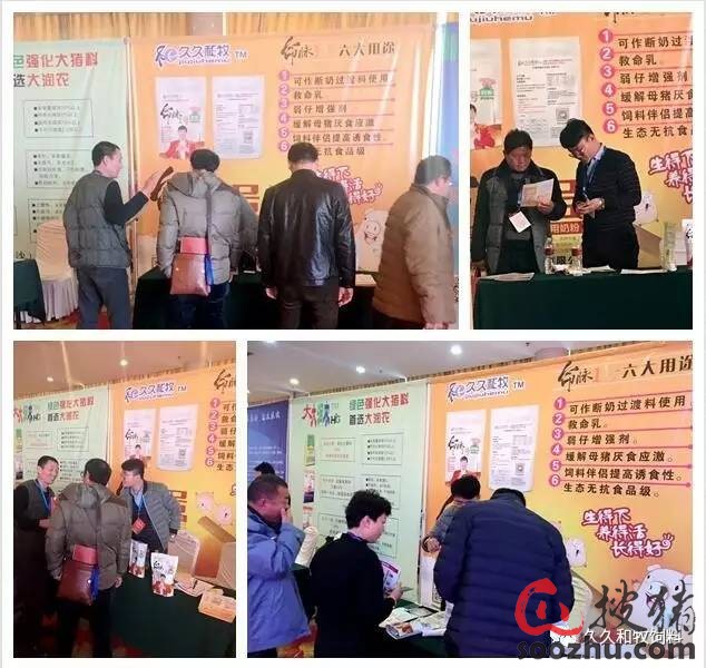 初闻沈念,初闻林夕