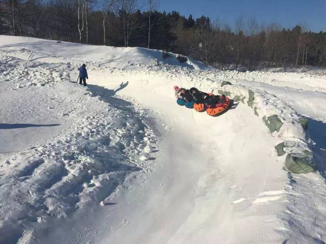 哈尔滨冬天免费玩雪的地方,哈尔滨冰雪旅游春节