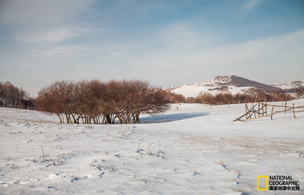 趁冬天还没有来临之前去一趟,一起到坝上去看雪