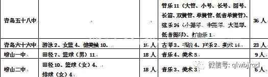 青岛市公布艺体特长生,青岛特长生招生政策2024招生简章