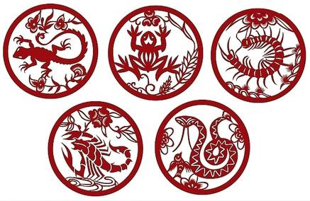 中华上下5000年知识大全,读完中华上下5000年学到了什么