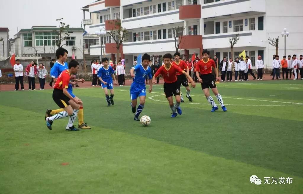 成绩｜无为县素质教育硕果盈枝！