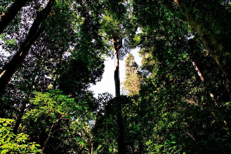 西双版纳从下飞机开始的攻略,进入西双版纳的视频