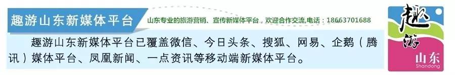 又到挖野菜的季节,又到了挖野菜的季节了是什么意思