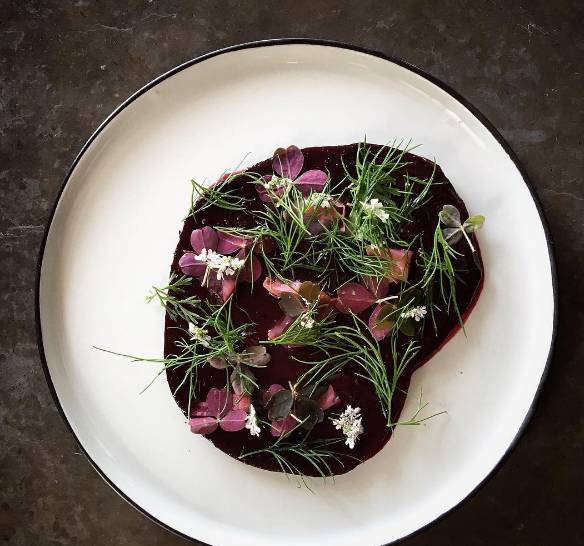 迷失在北欧,迷失在挪威的森林