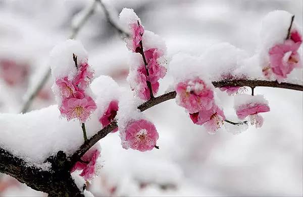 缂ょ悍鎮﹁娣卞害瑙ｆ瀽,缂ょ悍鎮﹁