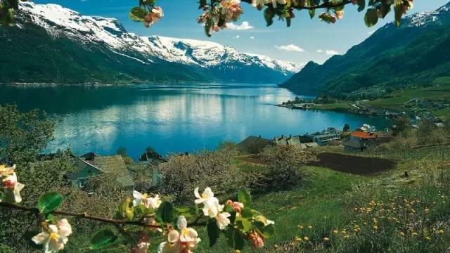 迷失在北欧,迷失在挪威的森林